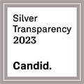 Silver Transparency 2023